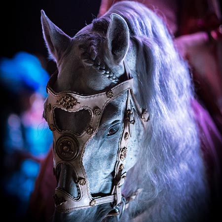 Zagal Cabaret Spectacle repas équestre et voltige La Palmyre Charente Maritime Nouvelle Aquitaine