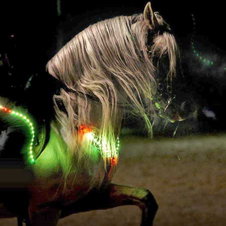 Zagal Cabaret Spectacle équestre La Palmyre Charente Maritime Nouvelle Aquitaine