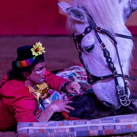 Zagal Cabaret Spectacle équestre La Palmyre Charente Maritime Nouvelle Aquitaine