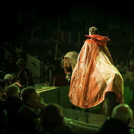 Zagal Cabaret Spectacle équestre La Palmyre Charente Maritime Nouvelle Aquitaine