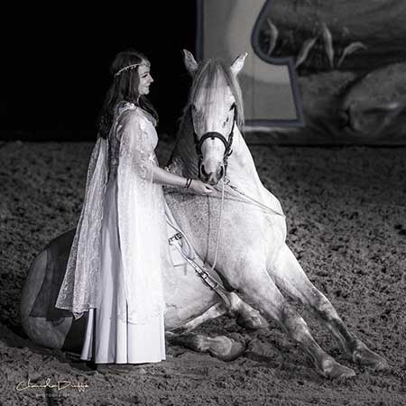 Zagal Cabaret Spectacle équestre La Palmyre Charente Maritime Nouvelle Aquitaine