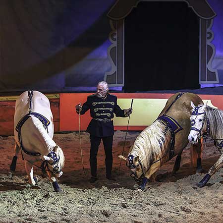 Zagal Cabaret Spectacle équestre La Palmyre Charente Maritime Nouvelle Aquitaine