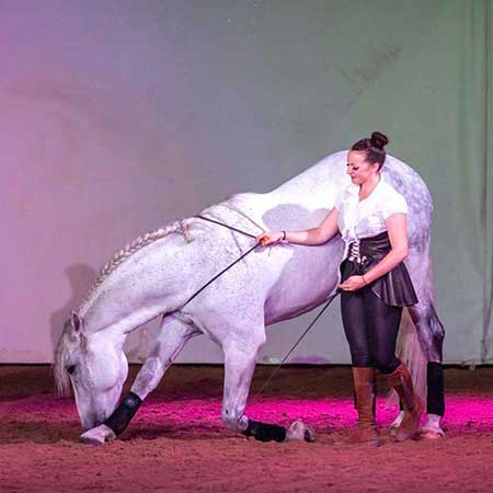 Zagal Cabaret Spectacle équestre La Palmyre Charente Maritime Nouvelle Aquitaine