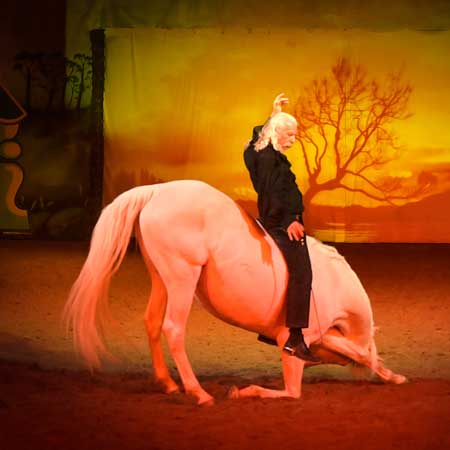 Zagal Cabaret Spectacle équestre La Palmyre Charente Maritime Nouvelle Aquitaine